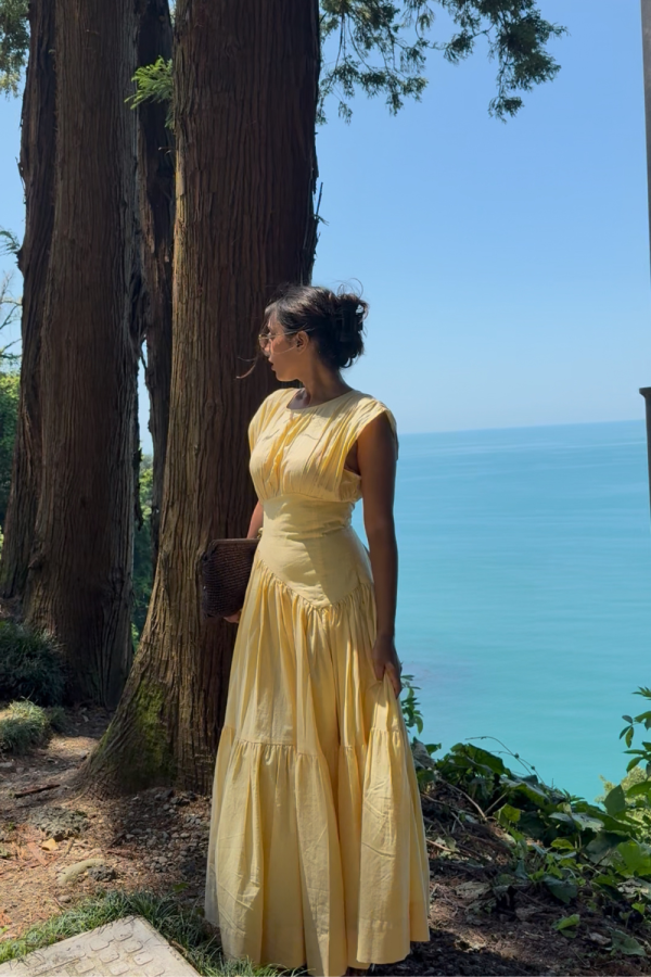 Banana Punch Dress - 图片 5